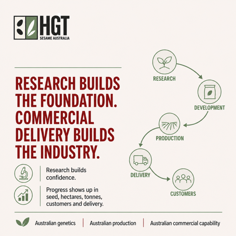 Sesame Australia infographic showing how research, development, production and delivery build a commercial sesame industry