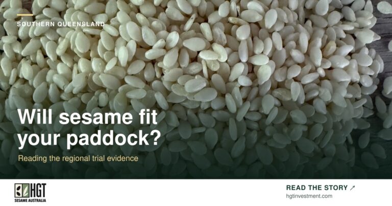A heap of sesame seeds on a brown surface. Sesame Australia article card: Will sesame fit your paddock?